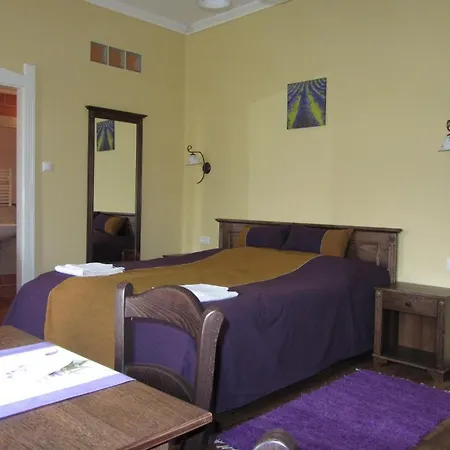 Thermalia Vendeghazak - Tulipan Guest house *